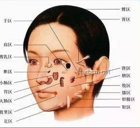 感觉人中痒痒的：探究奇妙的人体反应与健康信号