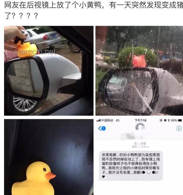 喜欢看鸭子吃浮漂？这个视频指南让你一次看个够！🦆,浮漂观察,视频拍摄,动物行为,乐趣分享