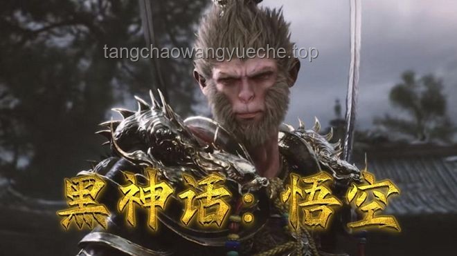 《黑神话：悟空》游戏评价案例研究